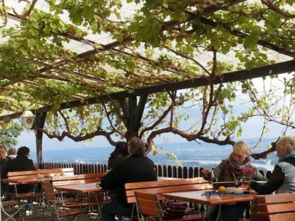 照片: Rebenhaus