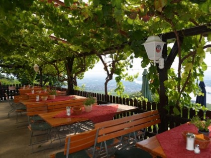 照片: Rebenhaus